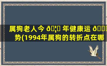 属狗老人今 🦊 年健康运 🐛 势(1994年属狗的转折点在哪)